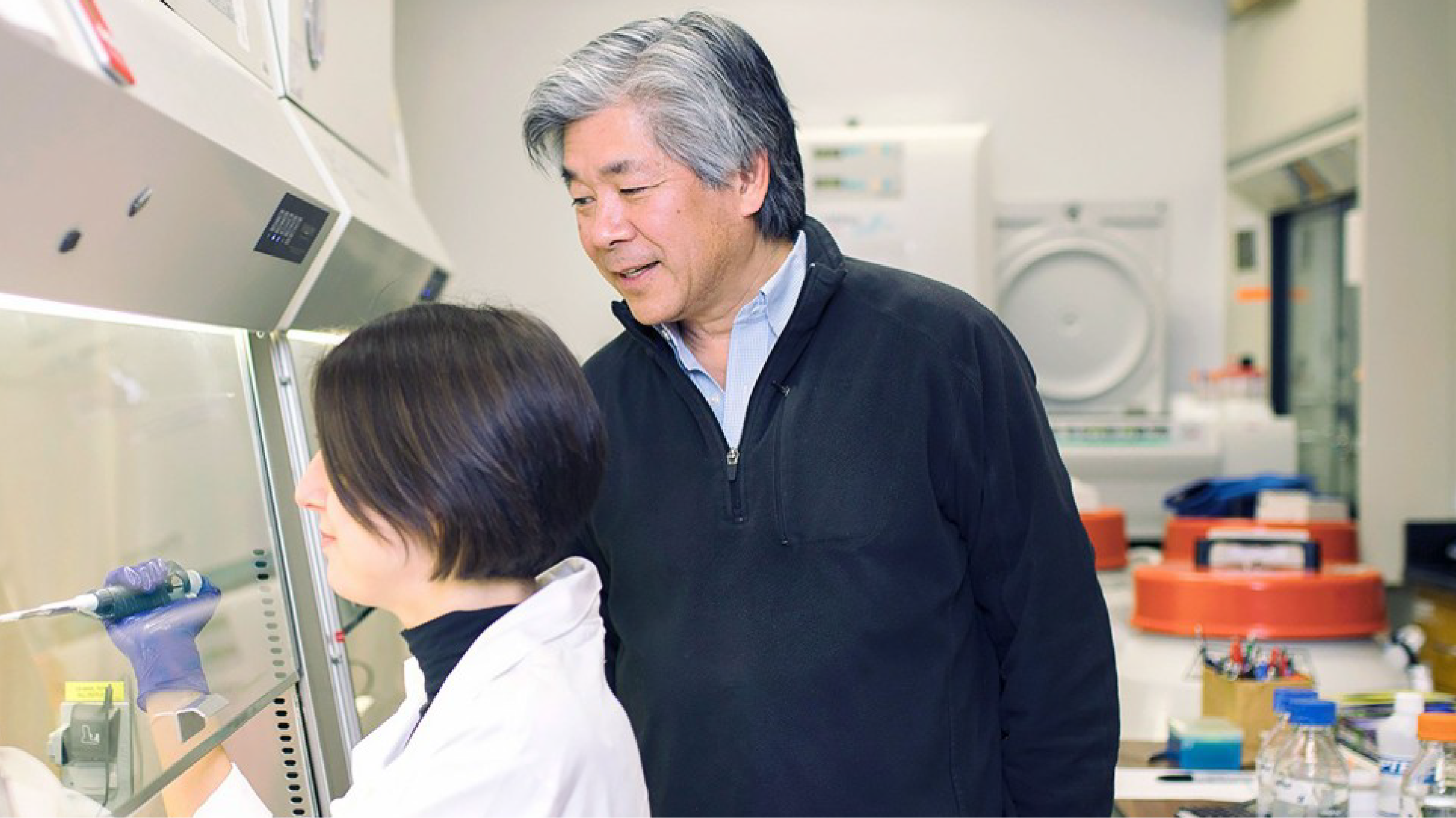 Richard Morimoto works with a postdoctoral fellow in his lab’s cell culture room.